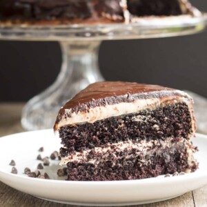 Dark Chocolate and Peanut Butter Midnight Cake | Gluten Free with L.B.