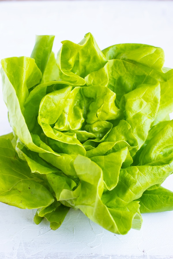 A close-up of butter lettuce is the best type of lettuce for lettuce wraps.