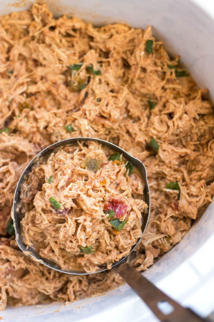 A ladle filled with Slow Cooker Salsa Shredded Chicken for an easy lunch.
