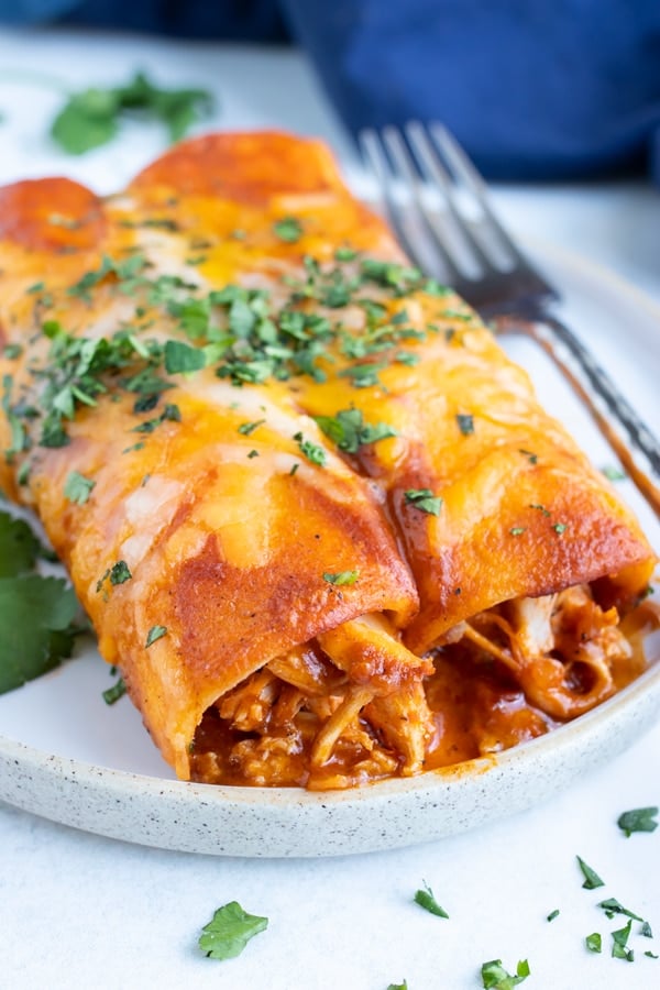 Easy Cheesy Shredded Chicken Enchiladas - Evolving Table