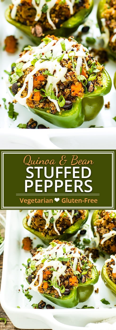 Black Bean & Quinoa Stuffed Bell Peppers are super filling and ultra nutritious. These vegan stuffed peppers are also dairy-free, gluten-free, soy-free and make a quick & easy dinner or lunch recipe!