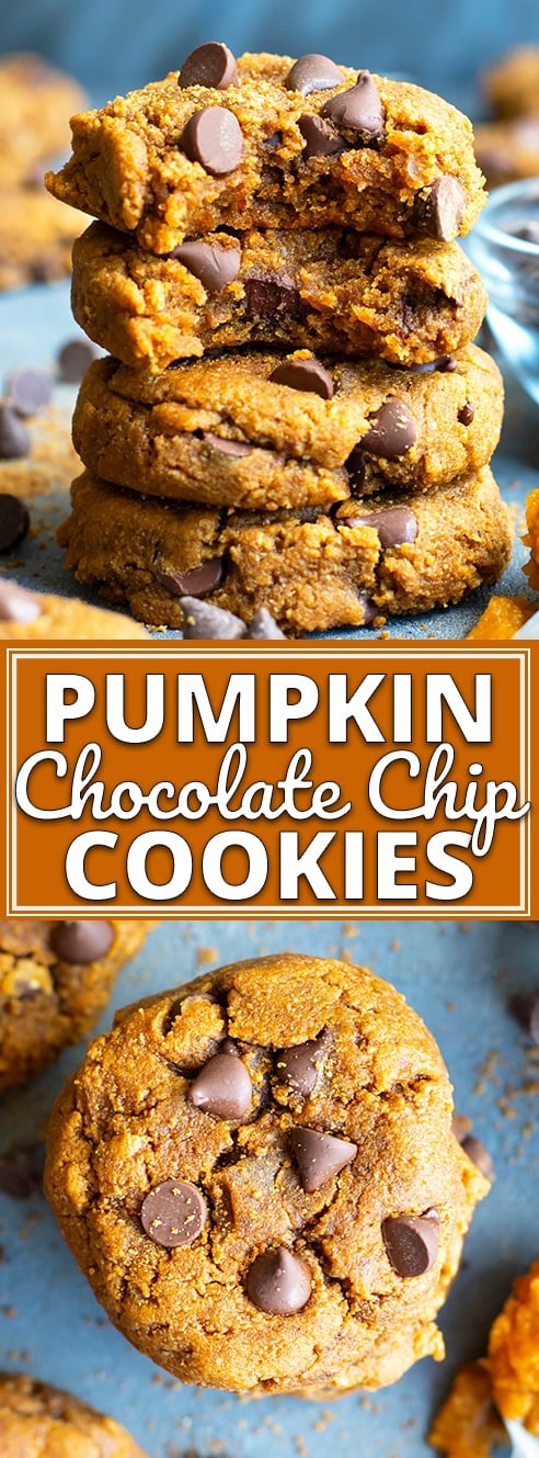 Pumpkin Chocolate Chip Cookies are melt-in-your mouth soft, so easy to whip up, and made healthy by using gluten-free flours, dairy-free and vegan coconut oil, and Paleo chocolate chips! This pumpkin cookies recipe will become a new favorite for the Fall and Thanksgiving holiday season! #evolvingtable #pumpkin #cookies #chocolatechip #Thanksgiving #dessert #pumpkindessert