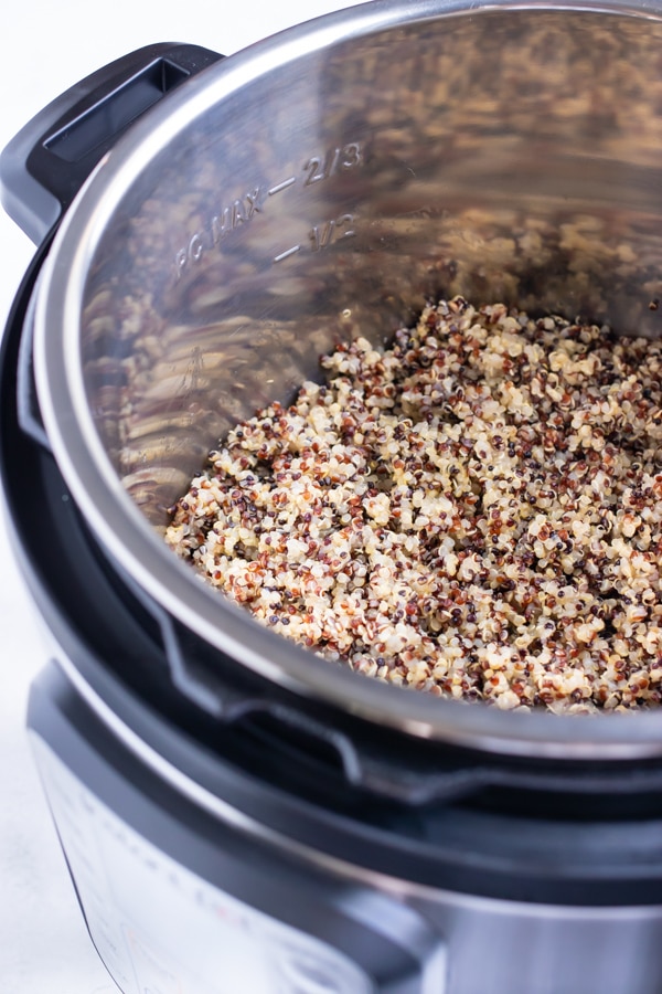 Perfectly cooked quinoa in a 6-quart Instant Pot.
