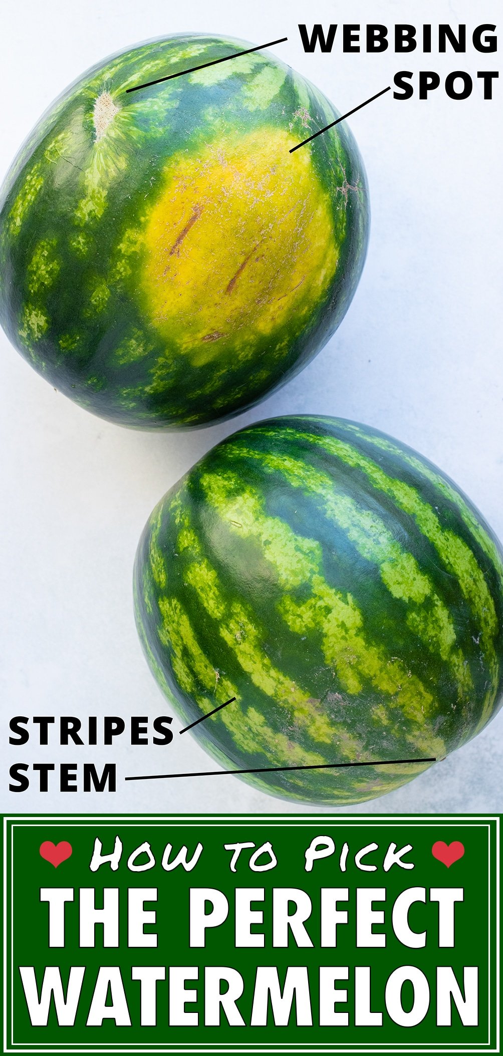 How to pick a watermelon easy tips evolving table
