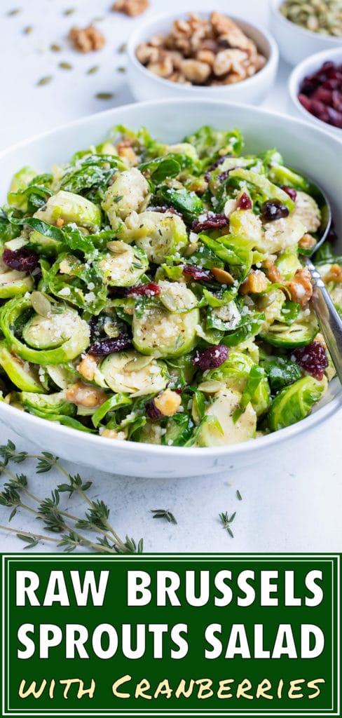 Vegetarian Brussels sprout salad is served in a white bowl and topped with cranberries, walnuts, and a honey mustard dressing.