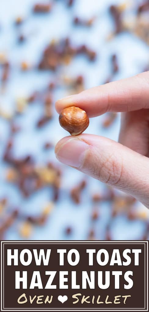One hazelnut is lifted up by a hand for snacking or adding to a dessert.