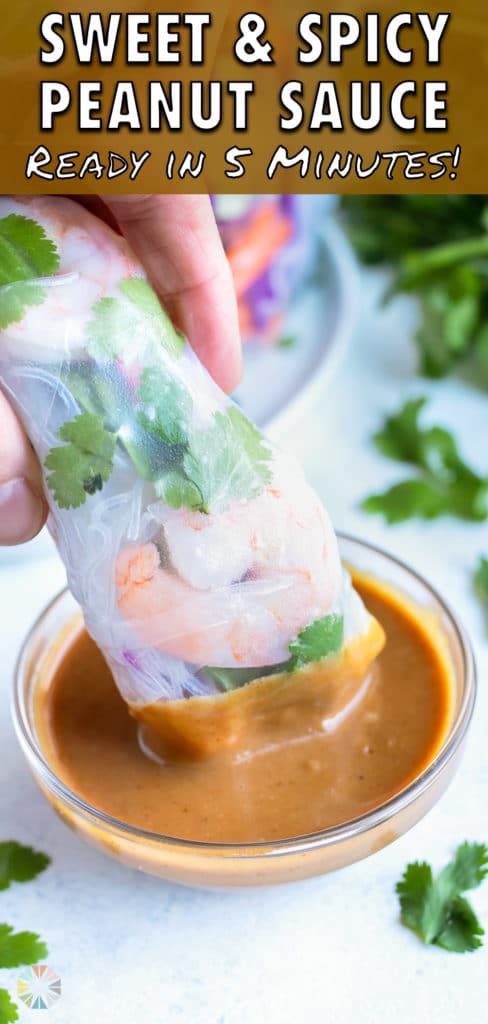 A fresh spring roll is dipped into the sweet and spicy Thai Peanut Sauce.