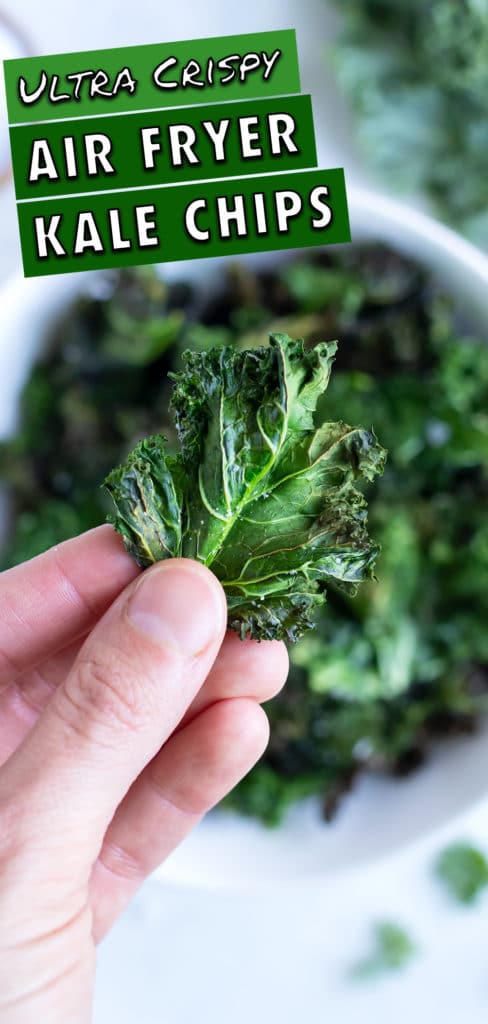 A crispy kale chip is lifted up by a hand from a bowl.