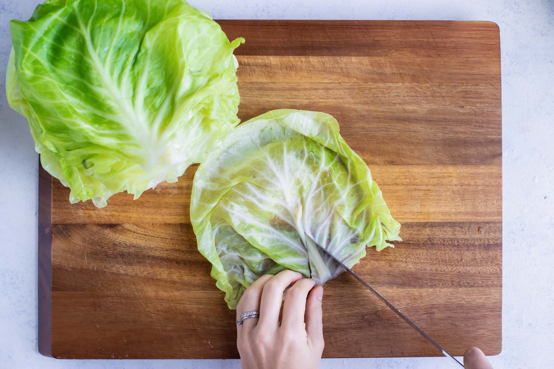 Cabbage leaf is cut down the bottom middle.