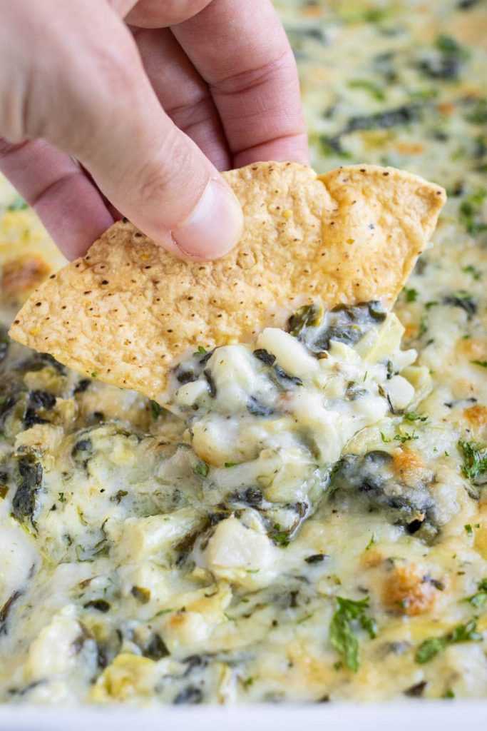 Hot and creamy spinach artichoke dip is eaten with a tortilla chip.