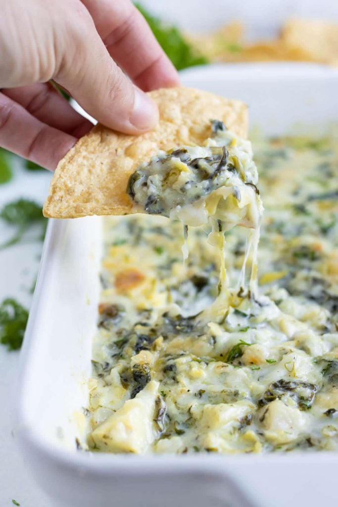 A chip is dipped into the hot spinach artichoke dip for an appetizer.