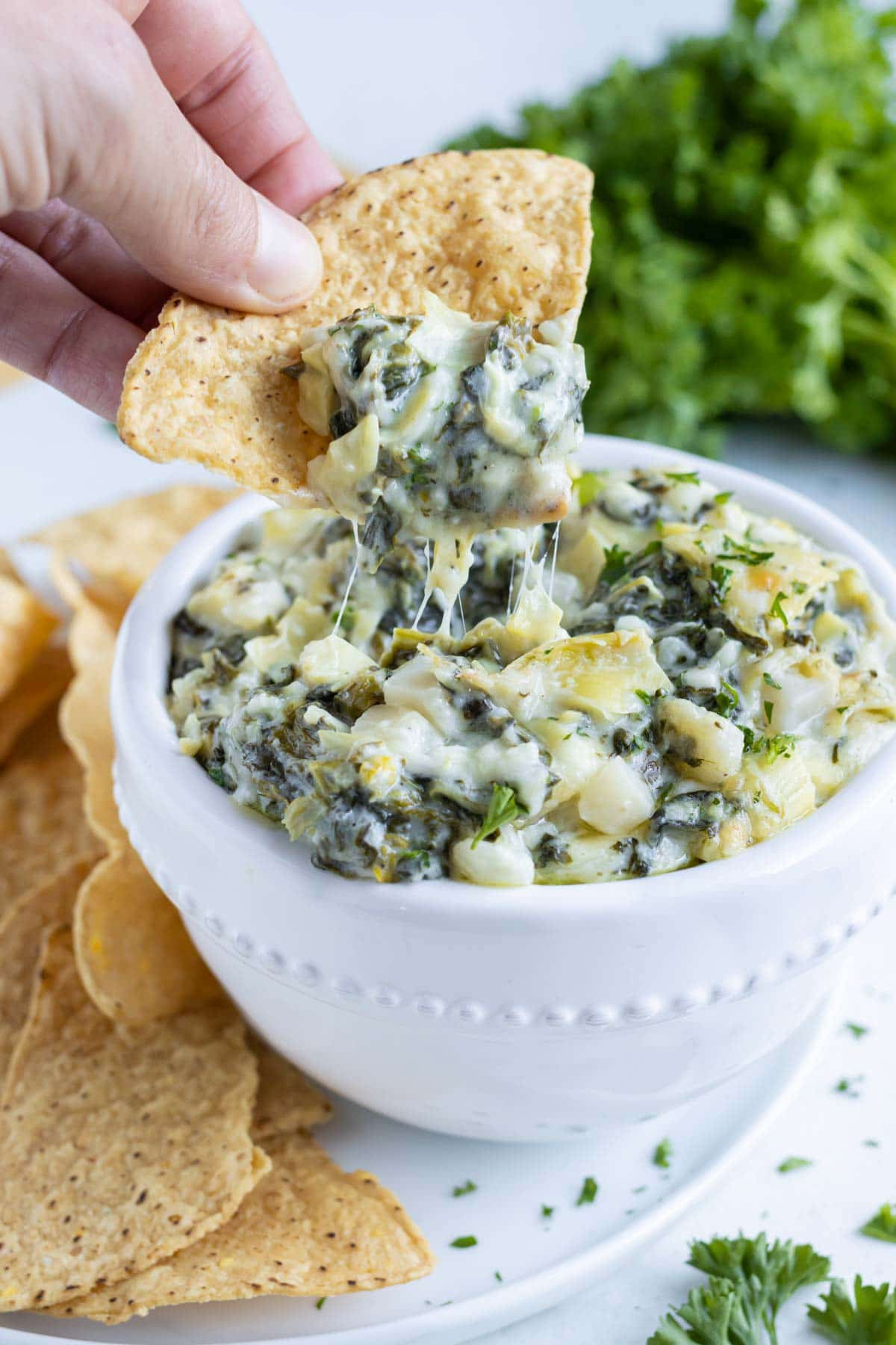 A chip is loaded with hot spinach artichoke dip for an appetizer.