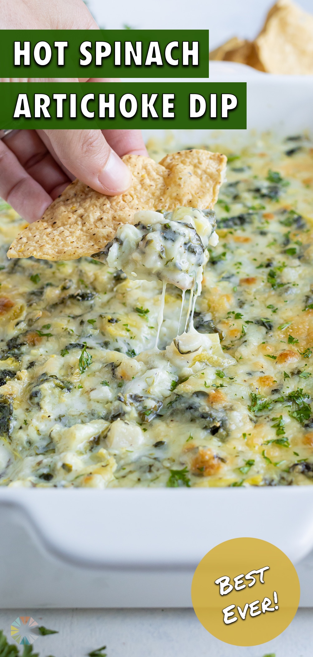 Hot Spinach Artichoke Dip (Oven-Baked) - Evolving Table