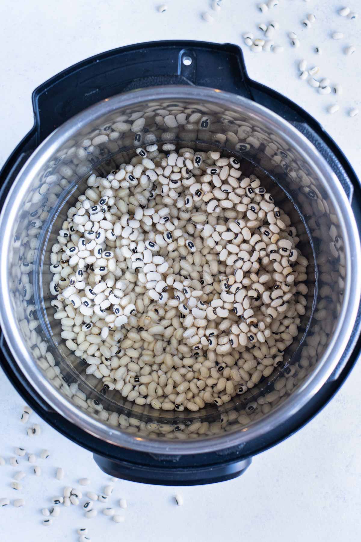 Beans and liquid are added to the instant pot.