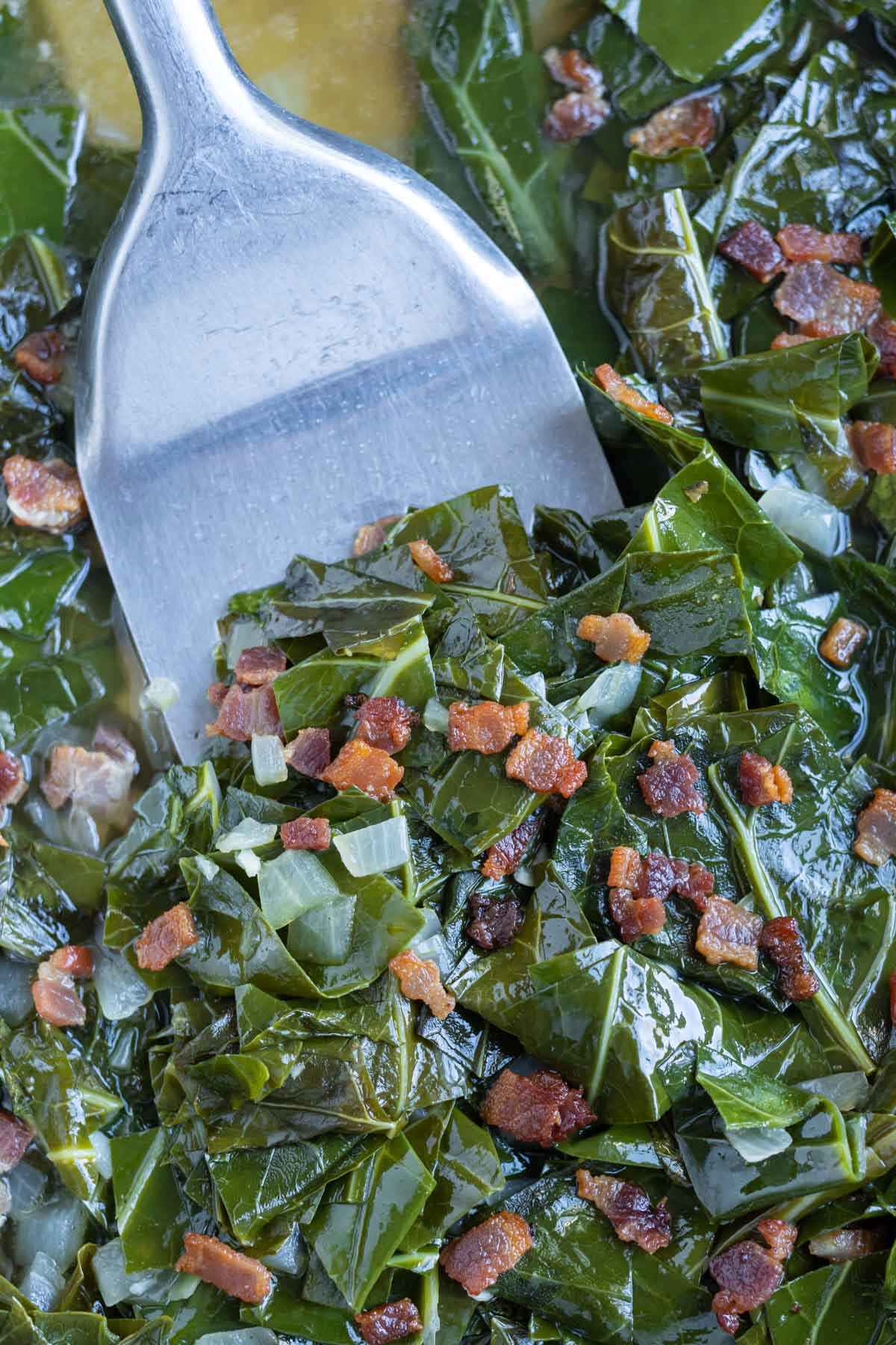Green Onions vs. Chives vs. Shallots - Evolving Table