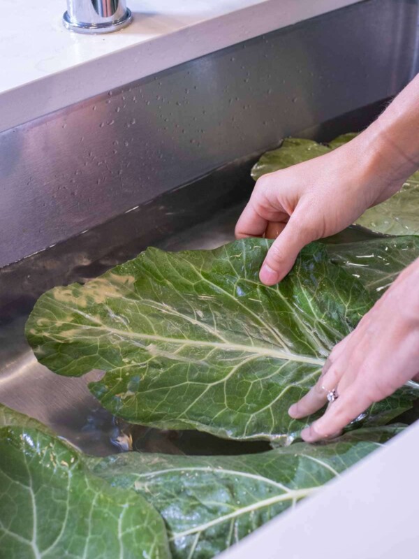 Collard greens are rinsed in the sink.