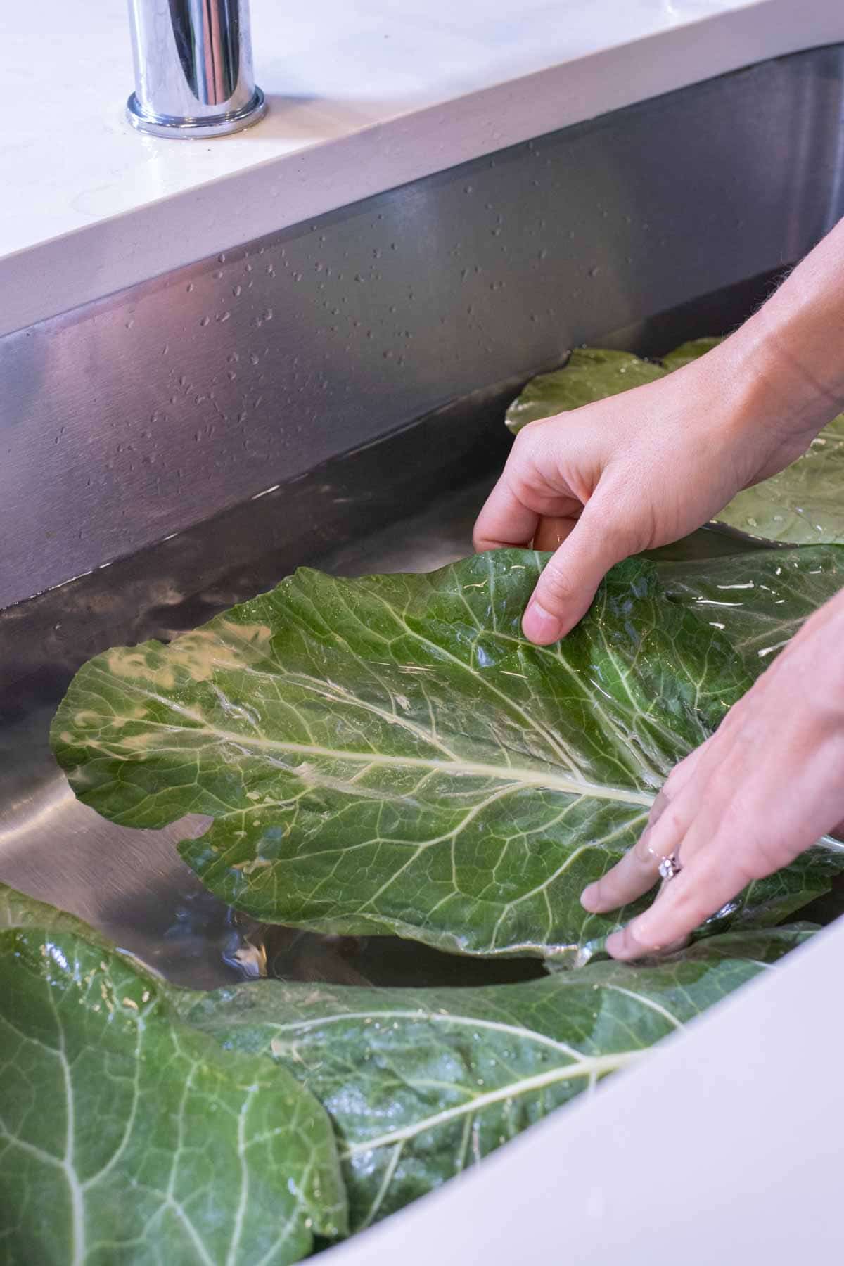 Collard greens are rinsed in the sink.