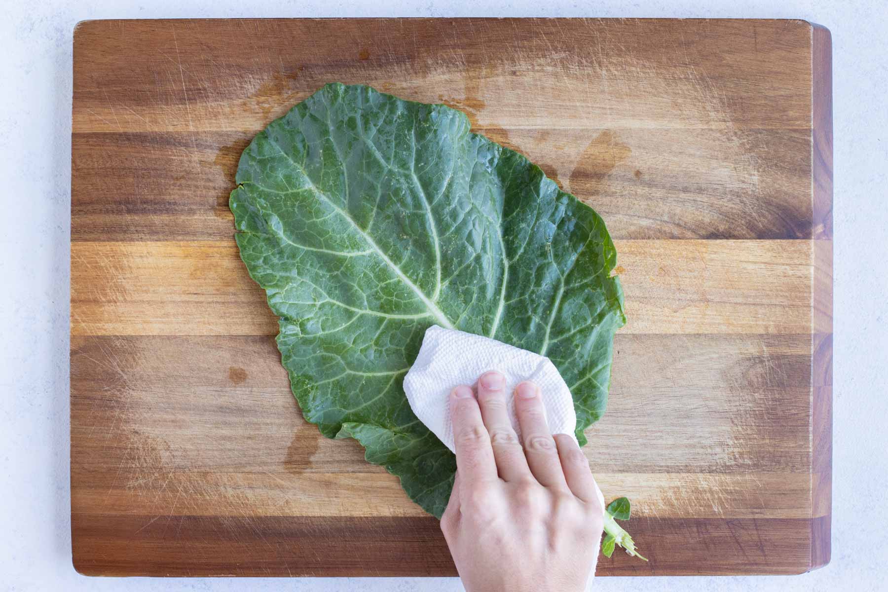 Leaves are dried with a paper towel.