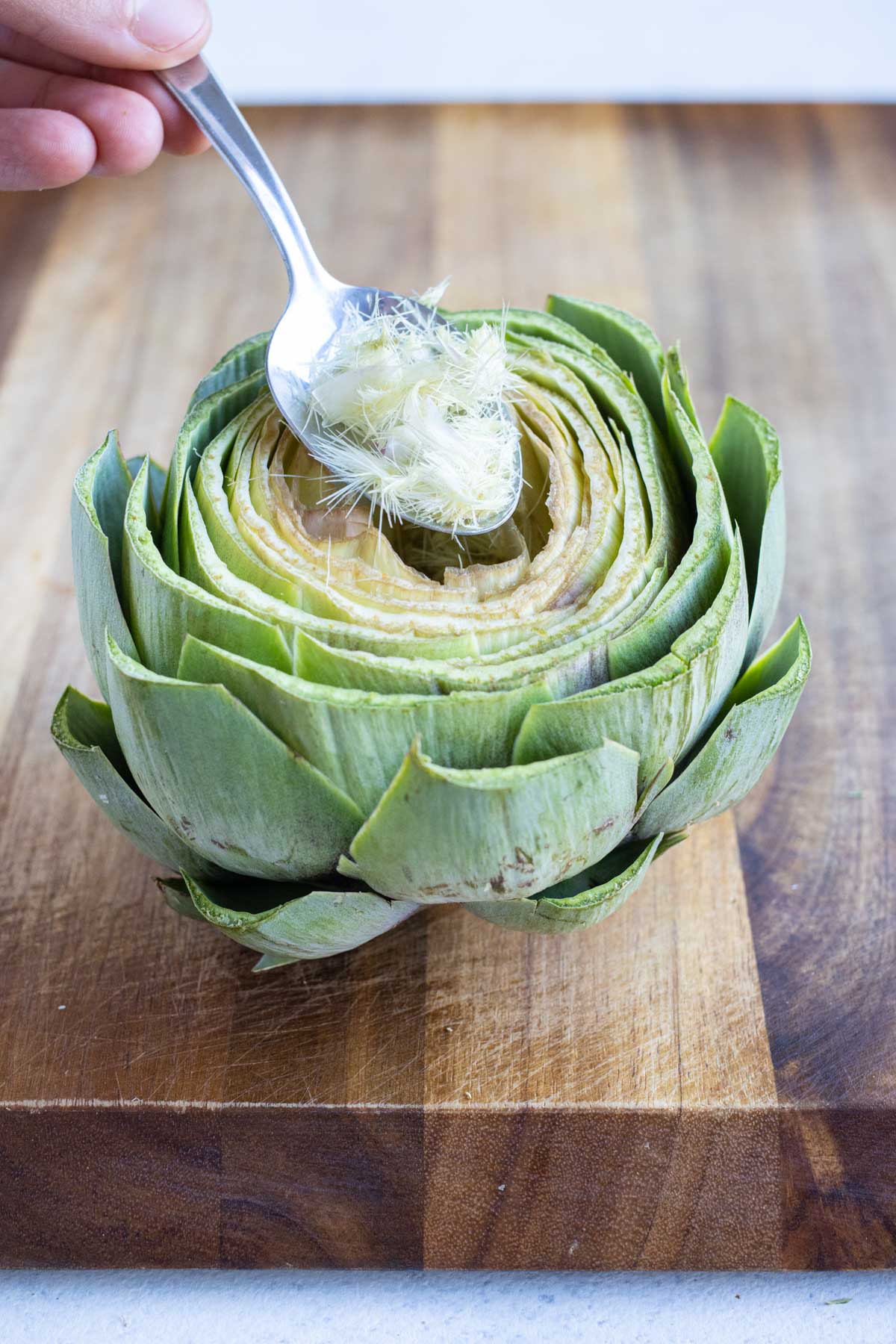 The fuzzy choke is removed from the center of the artichoke before stuffing.