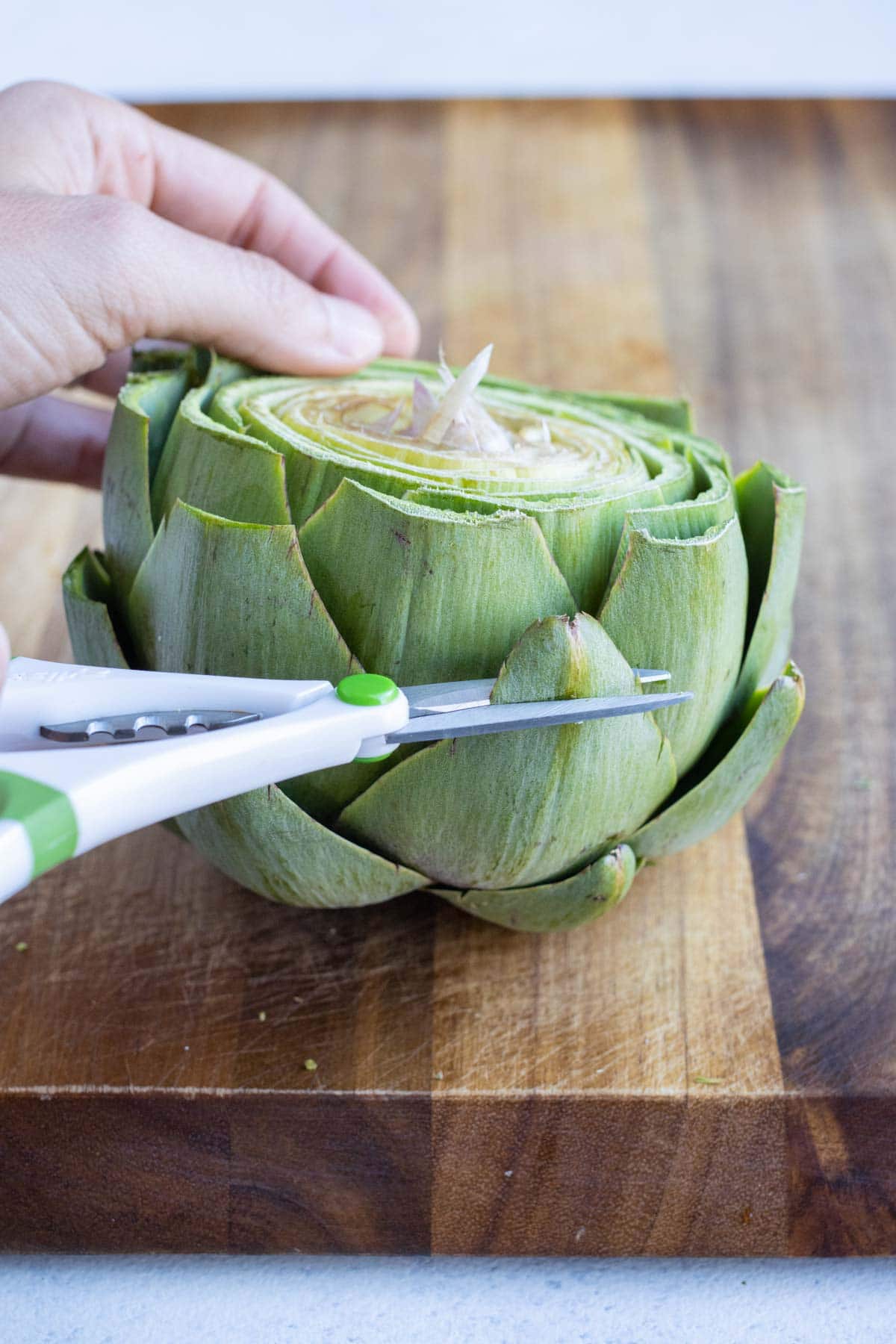 Artichoke leaves are trimmed with kitchen scissors before baking.