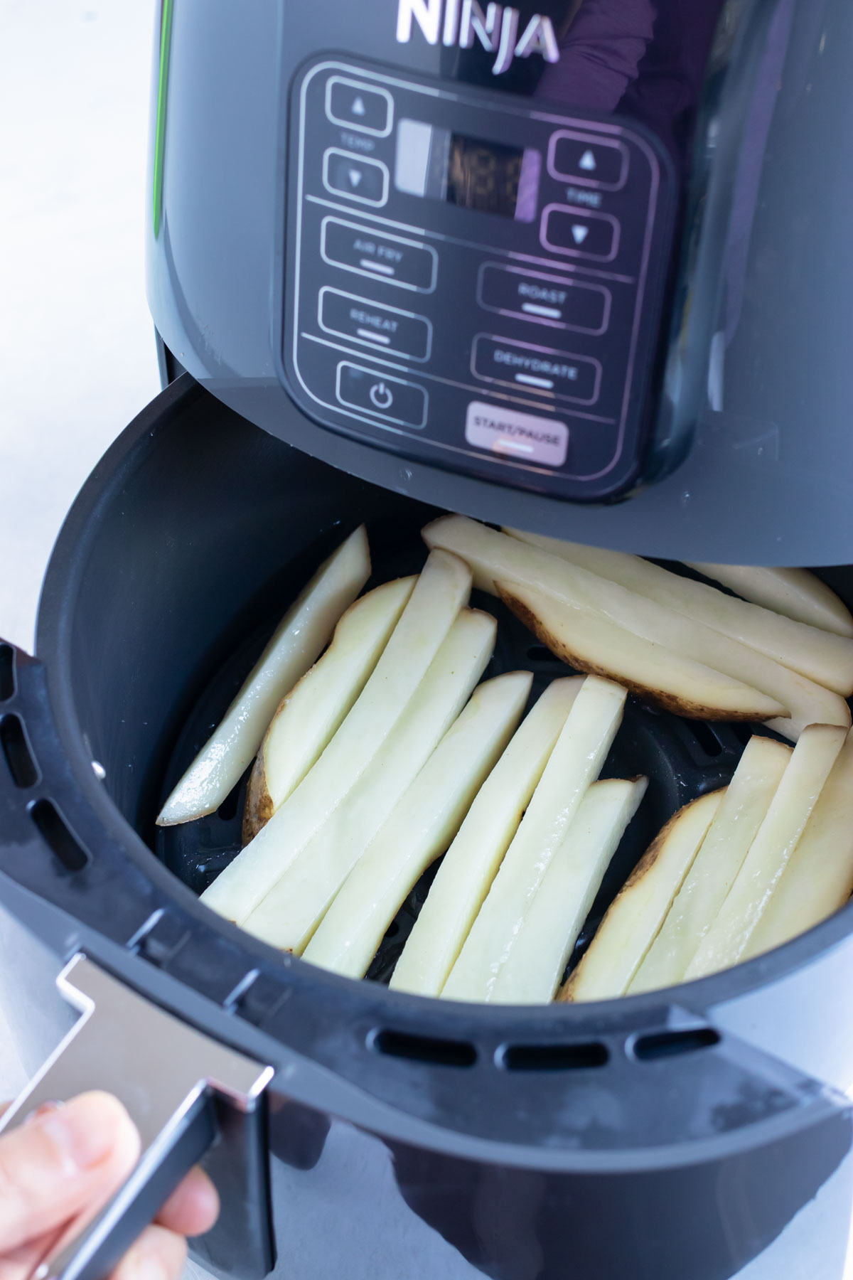 Fresh, uncooked french fries are placed in a single layer in a Ninja Air Fryer.