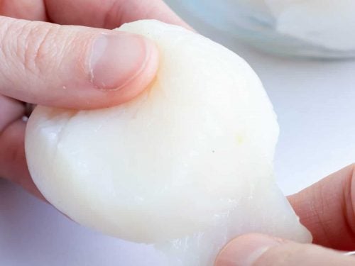 Removing the tendon from a scallop.