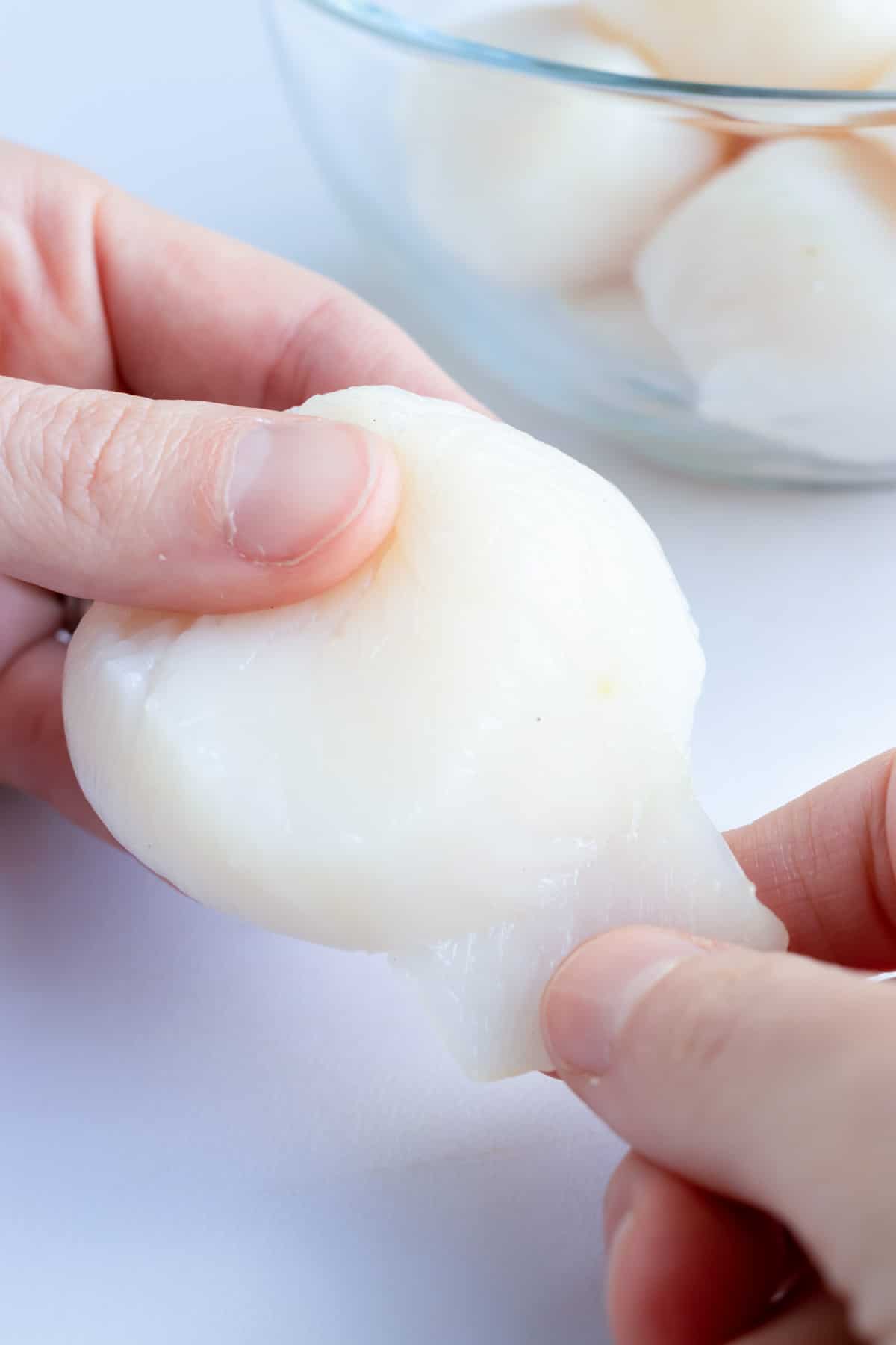 Removing the tendon from a scallop.