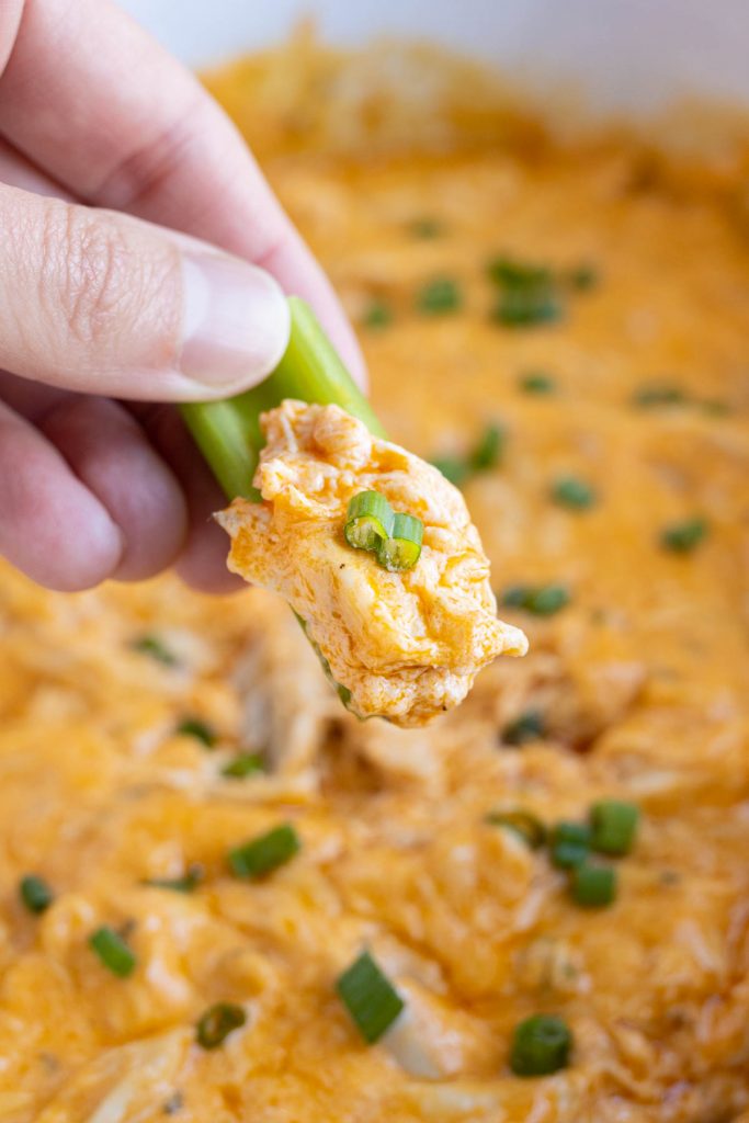 Celery is dipped into the buffalo chicken dip by a hand.