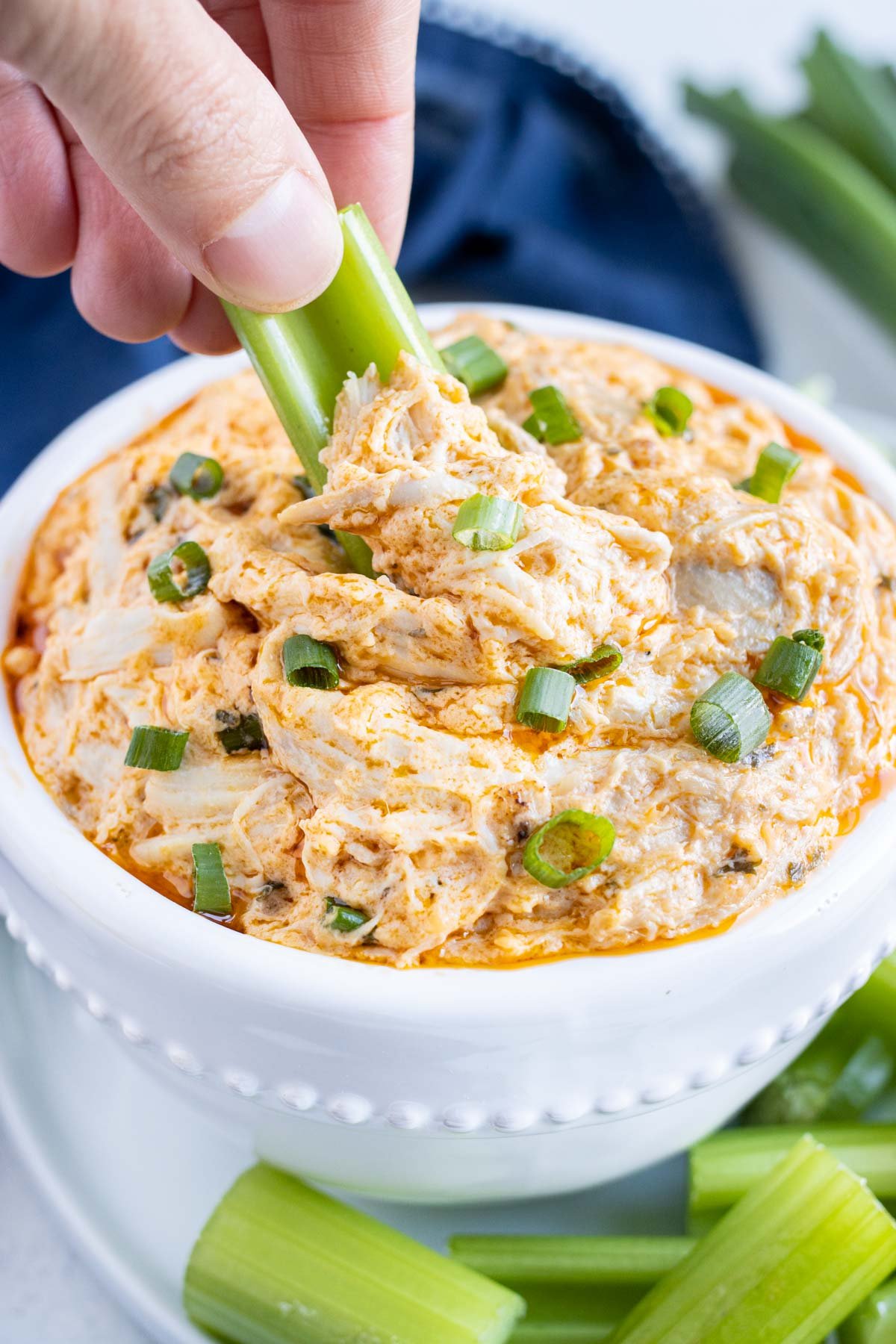 Celery is dipped into the bowl of chicken dip.