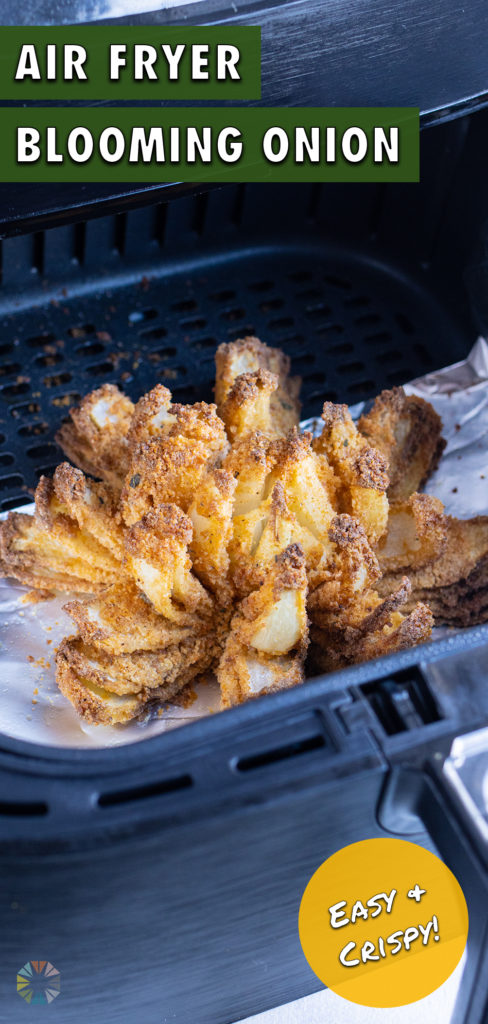 A golden fried onion is cooked in the air fryer for just 25 minutes.