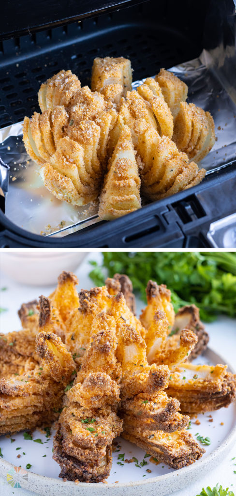 A plate is used to serve the air fryer blooming onion with dip.