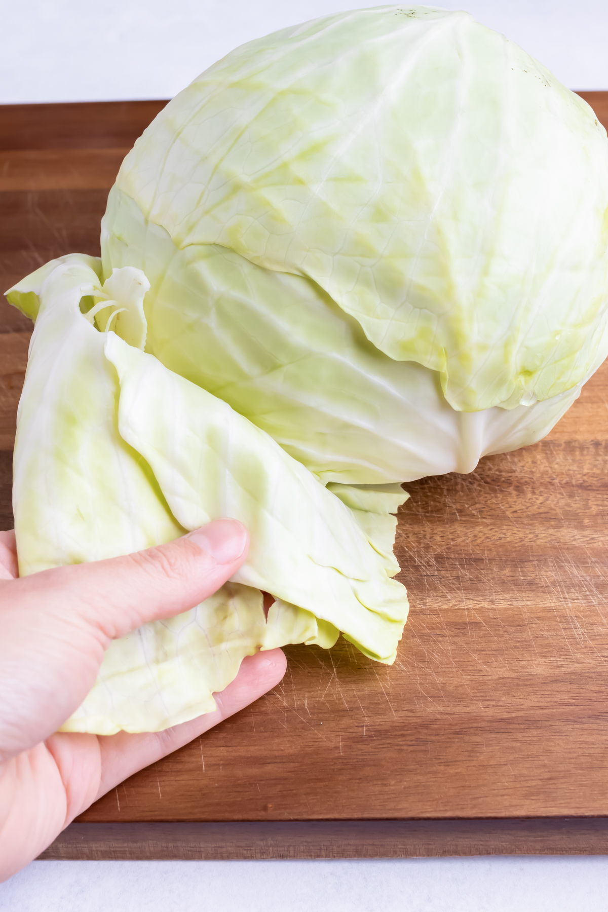 A hand pulling the outer leaves from a cabbage.
