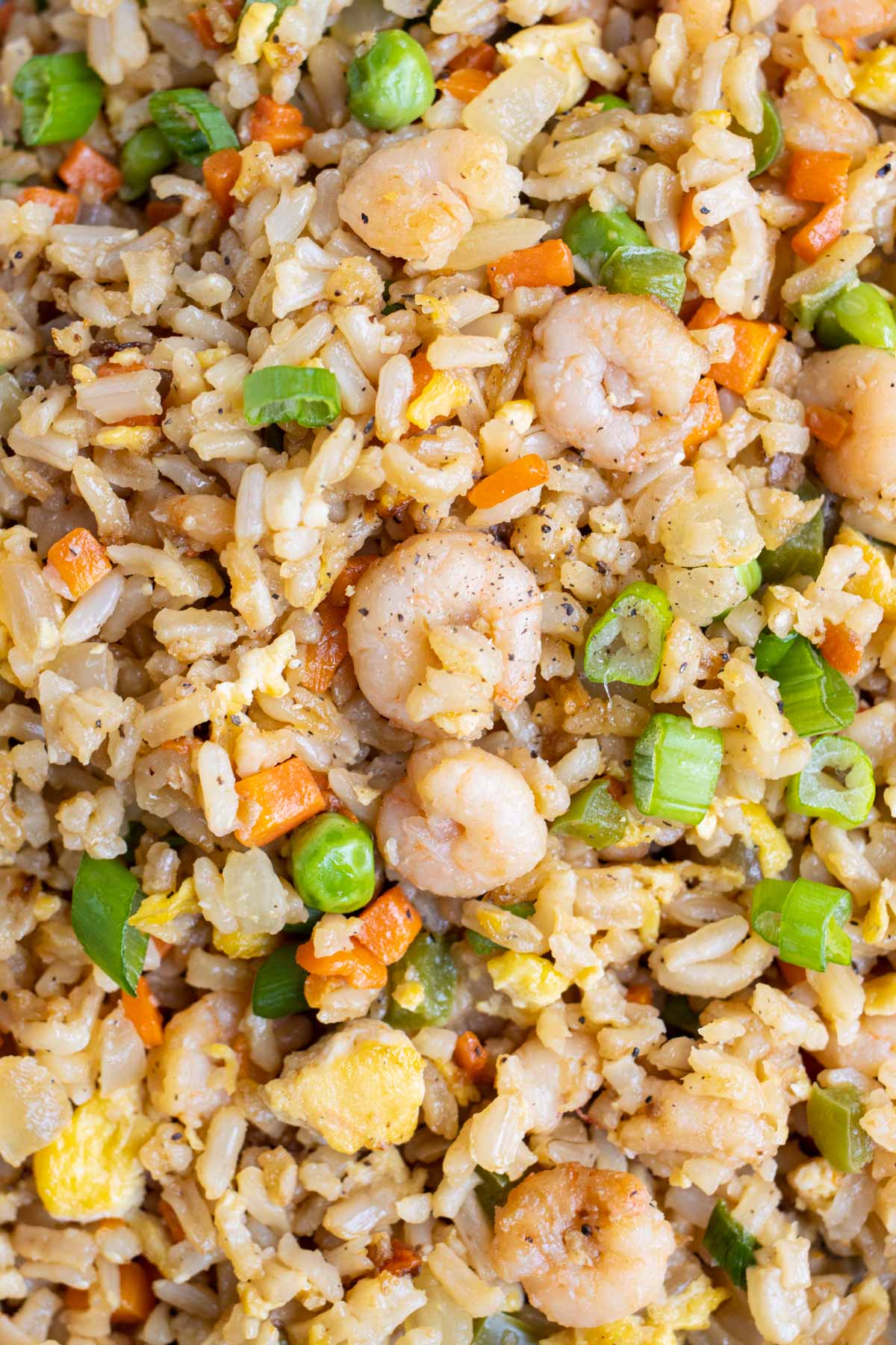 A close up picture of shrimp fried rice is shown.