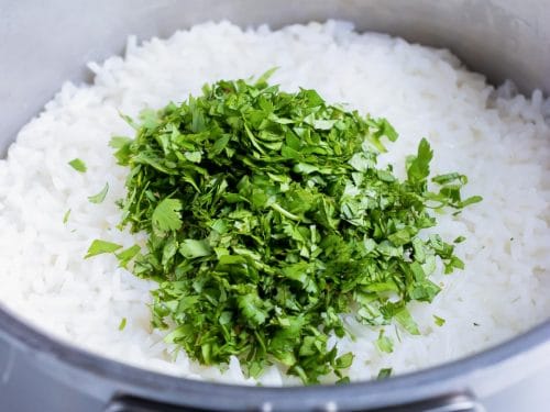 Chopped cilantro leaves are added to the cooked white rice.