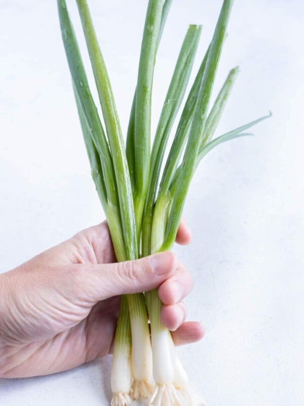 Green onions are held up by a hand.