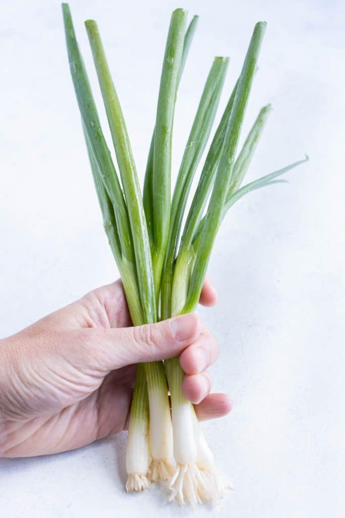 Green onions are held up by a hand.