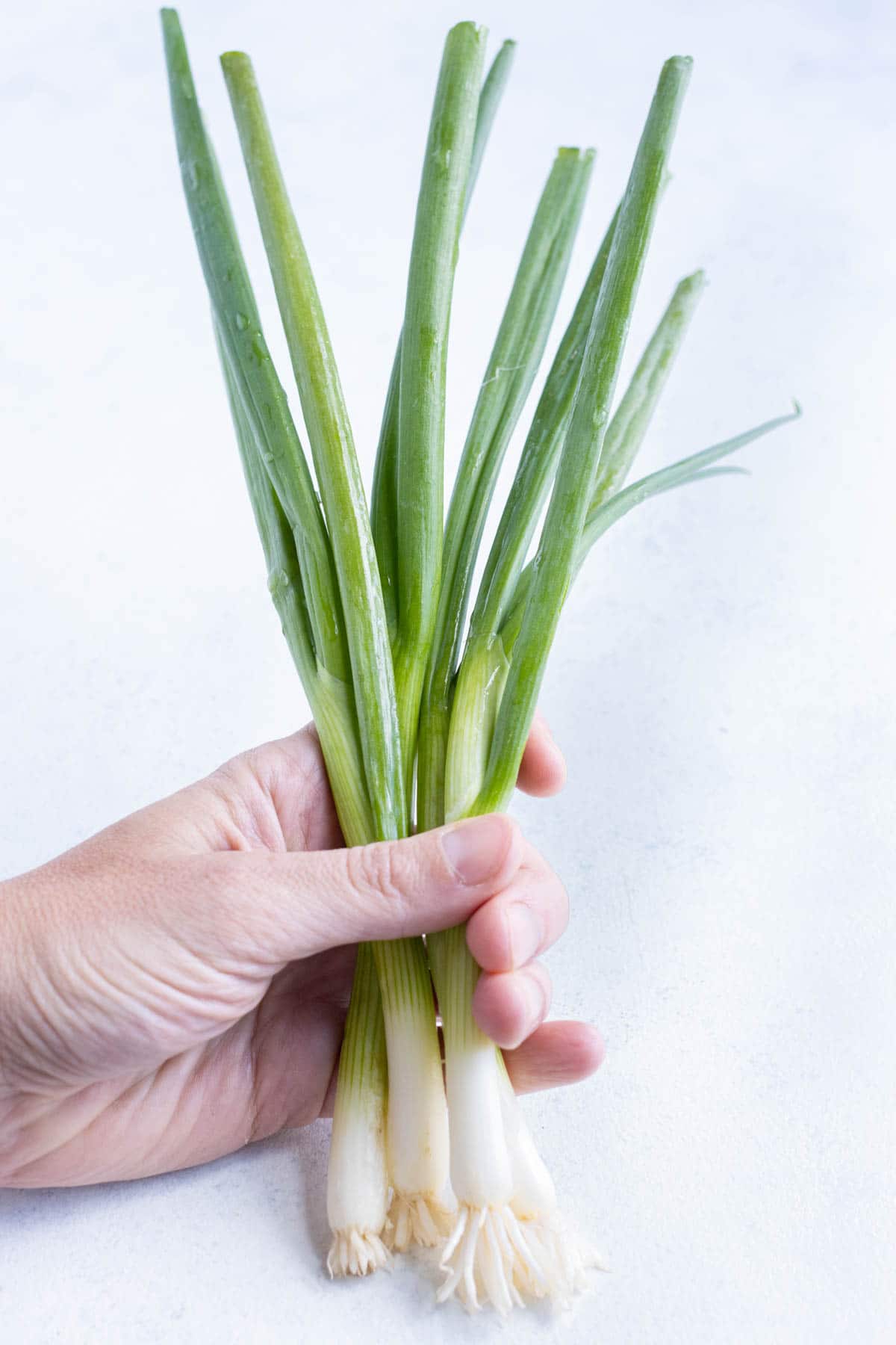 Green onions are held up by a hand.