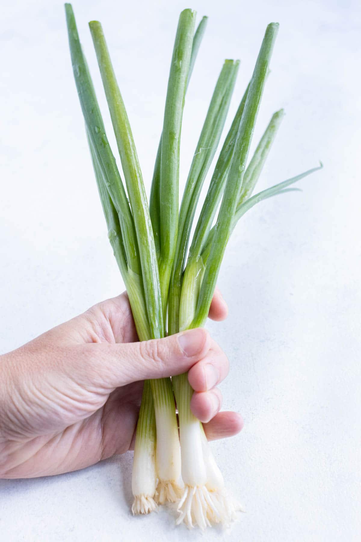 Green shallots