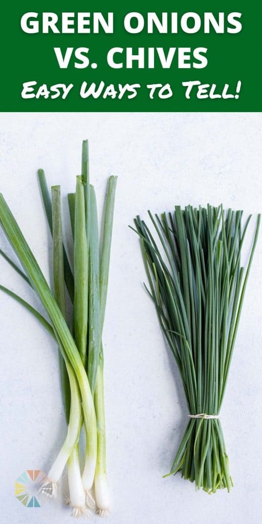 Chives are shown beside a bunch of green onions.