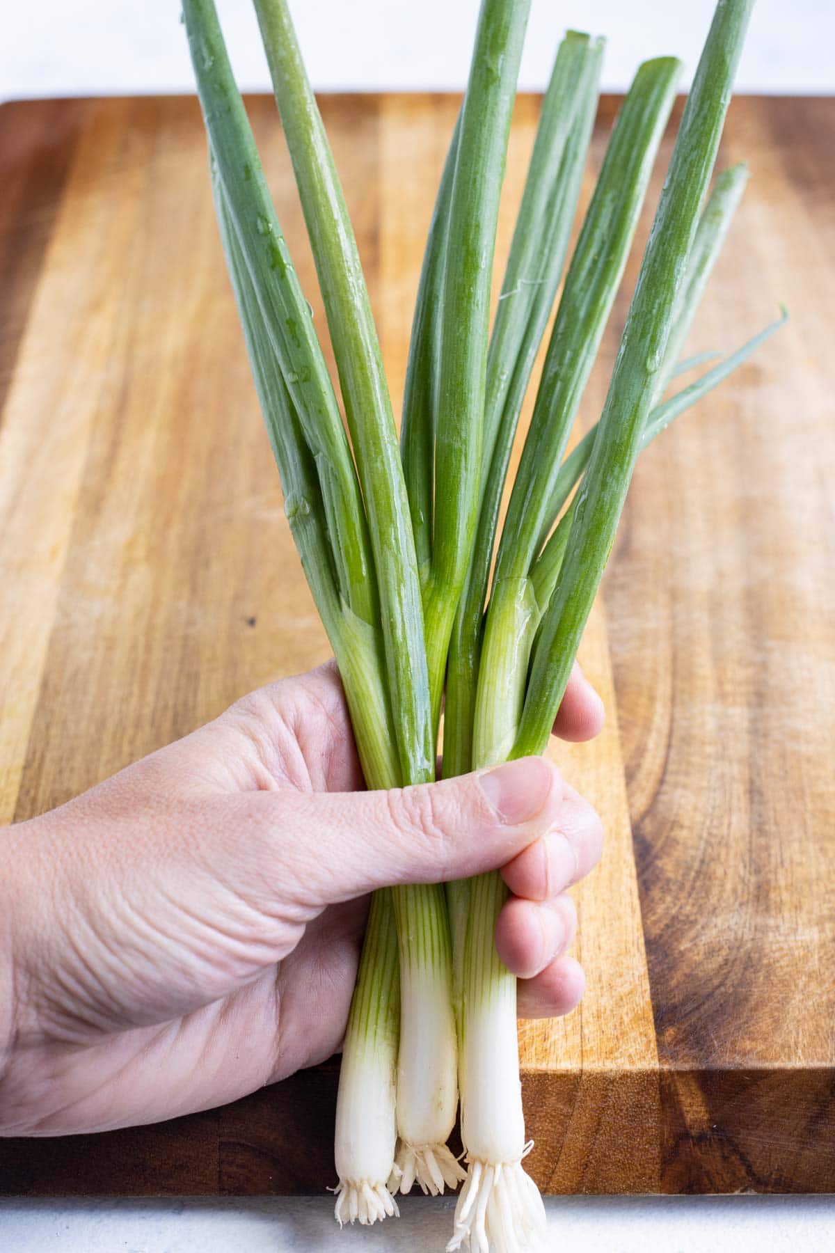 A hand is shown holding a bunch of green onions.
