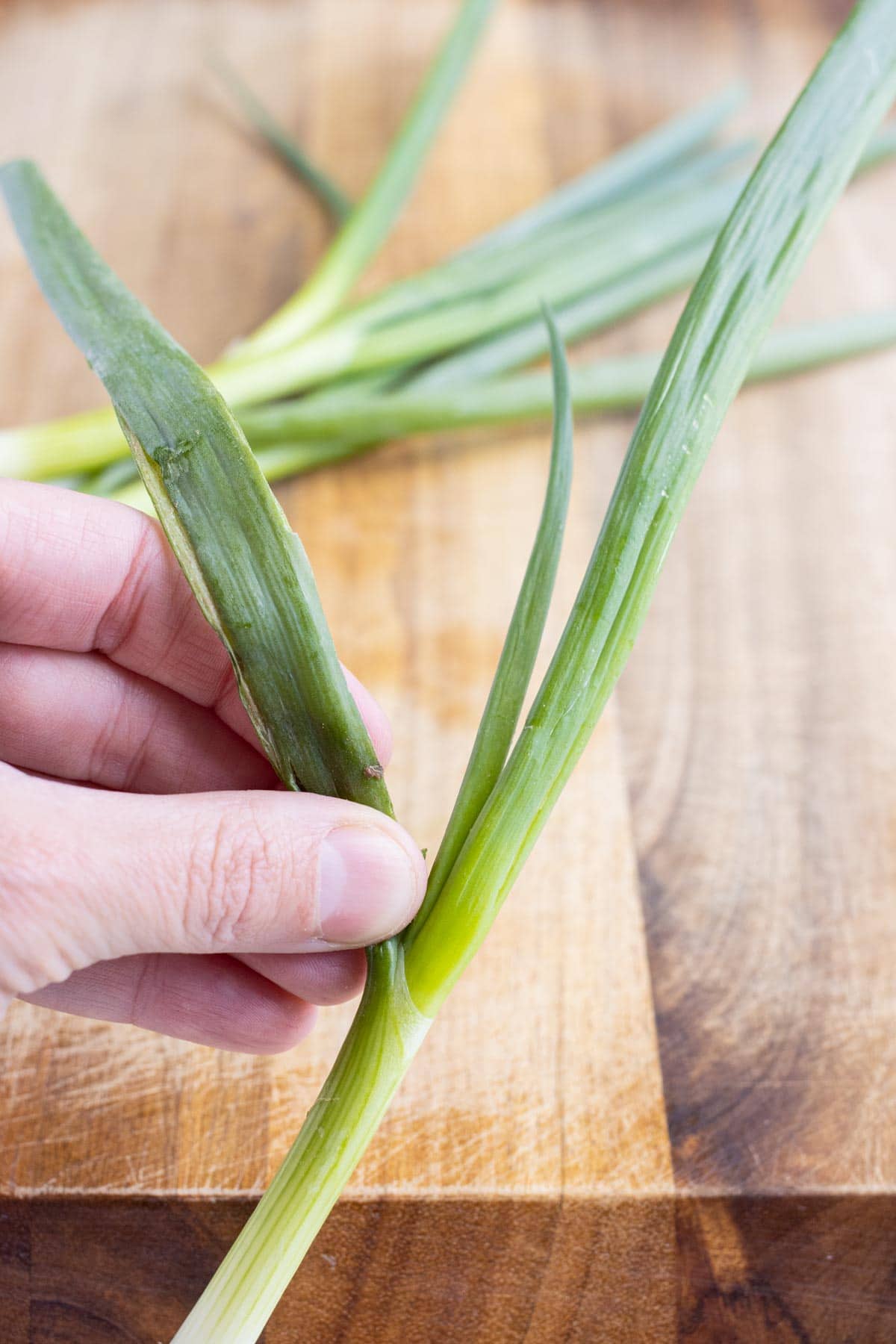 The outer leaves are taken off of the green onions.