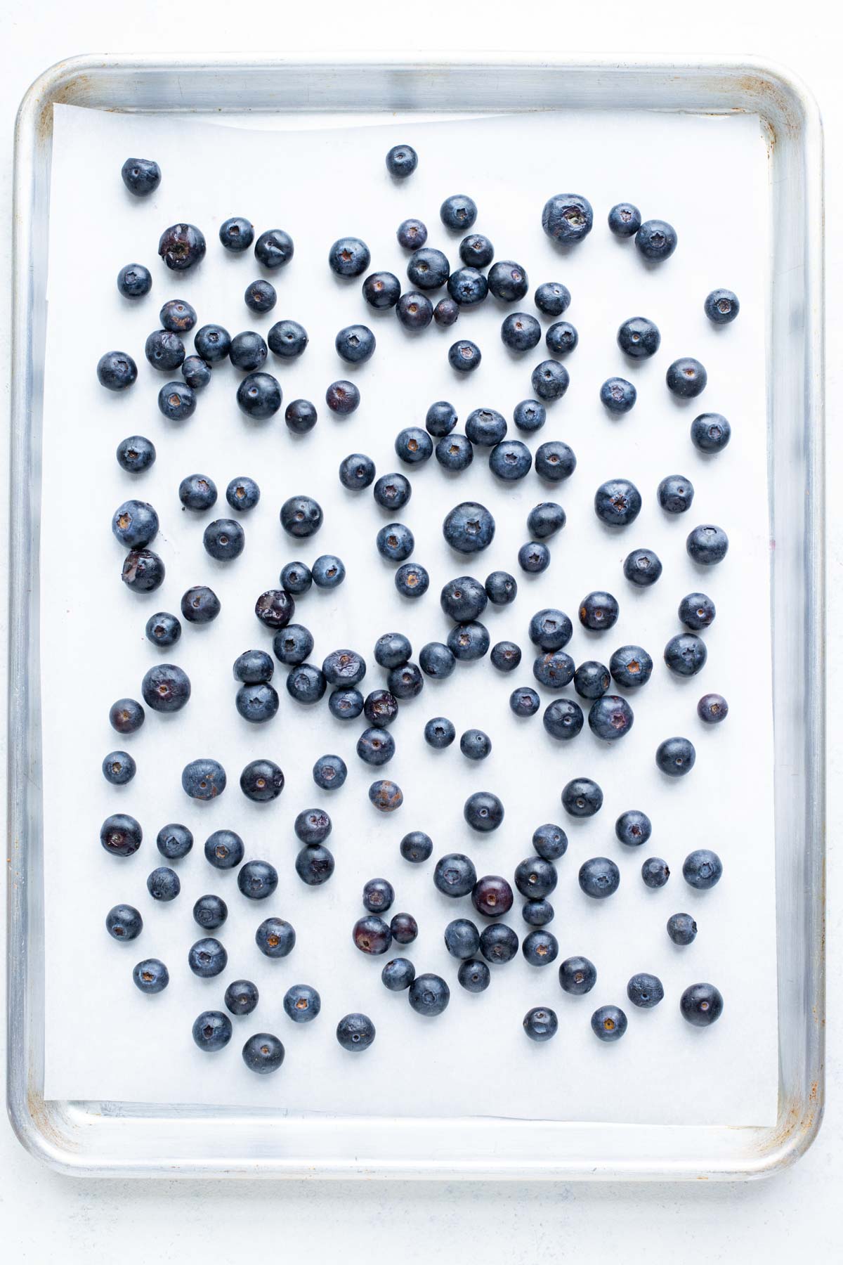 Blueberries are shown overhead in a single layer.