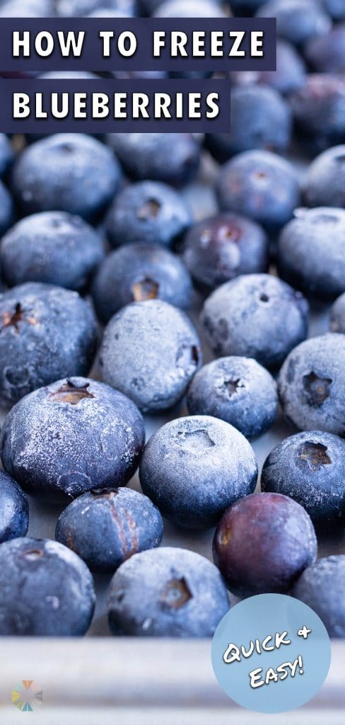 Frozen blueberries are shown to be used in smoothies or desserts.