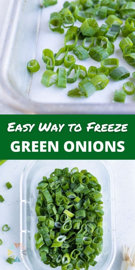 Fresh green onions are placed in the freeze on a baking sheet.