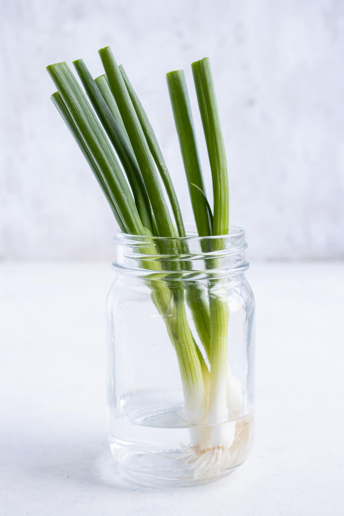The fresh green onions are placed in a jar.