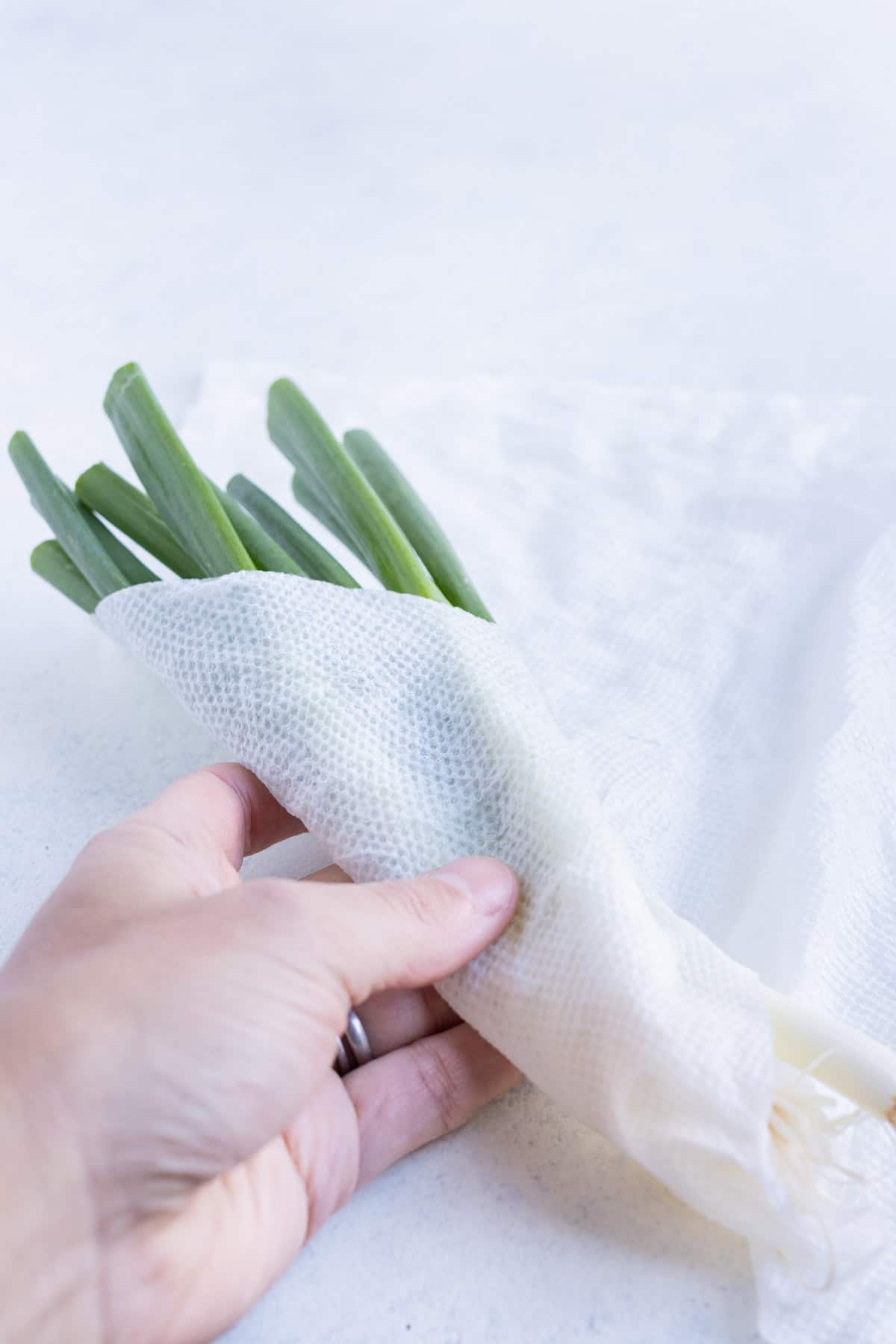A wet paper towel is wrapped around the green onions.