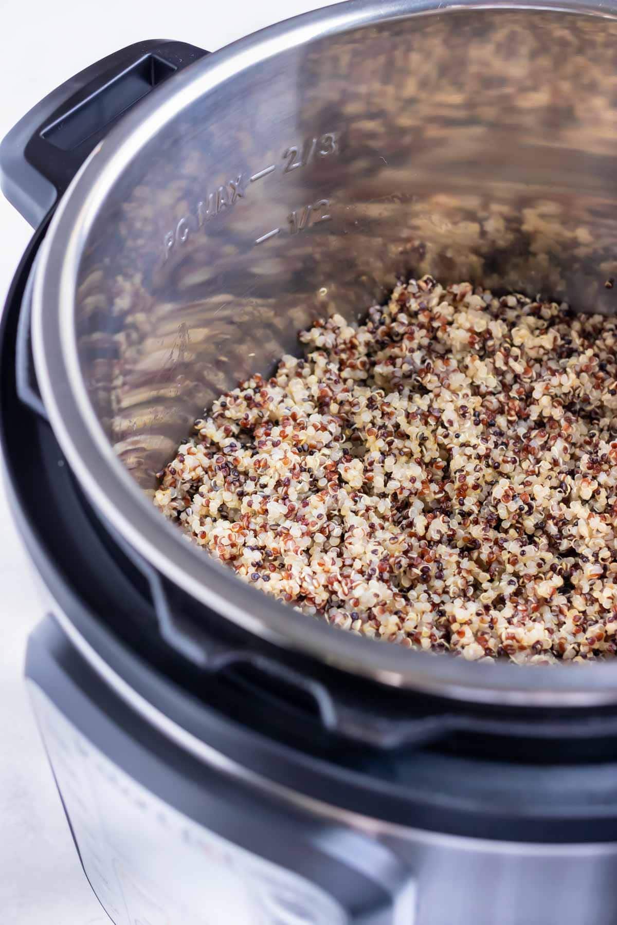 Perfectly cooked quinoa in a 6-quart Instant Pot.