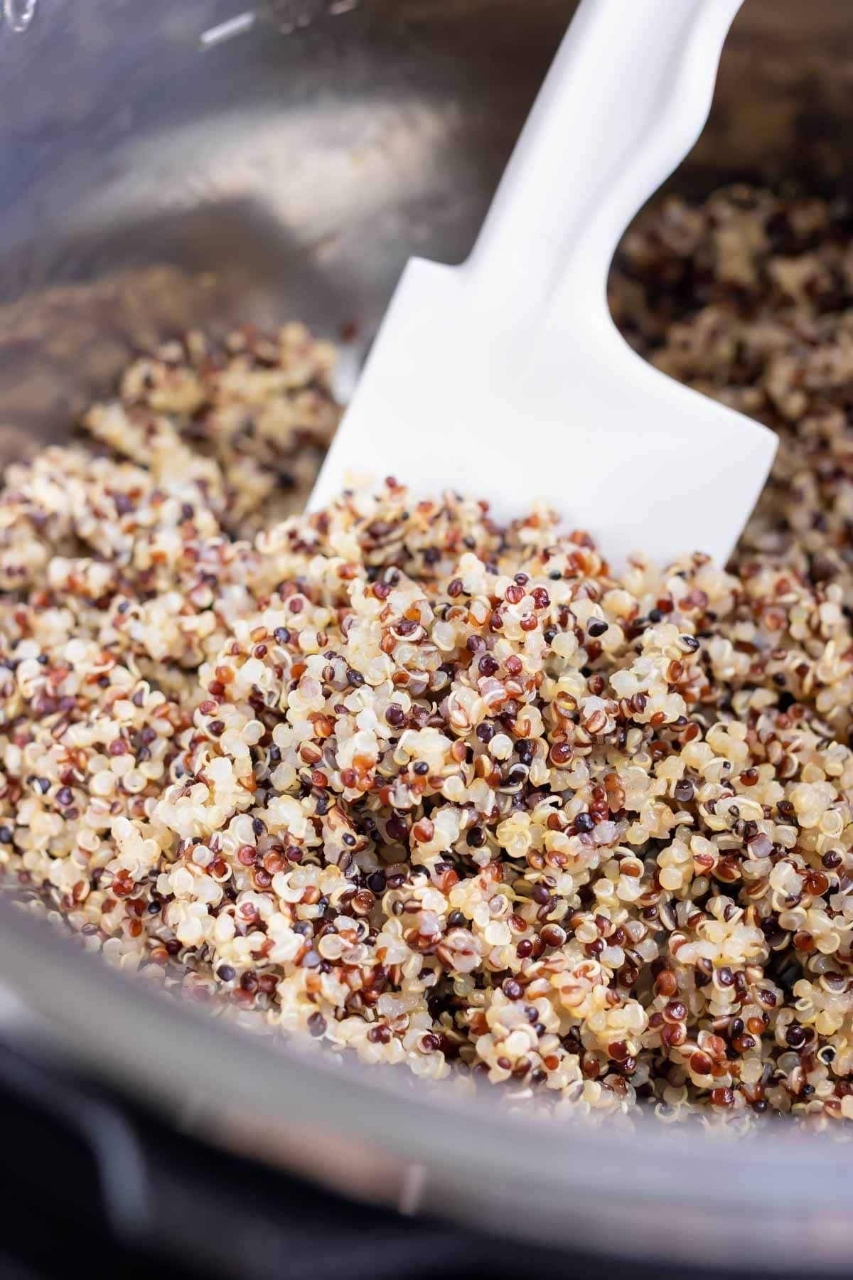 Making quinoa fluffy with a plastic spatula.