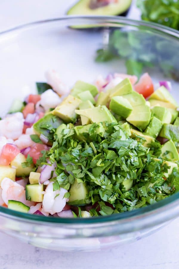 Easy Shrimp Ceviche Recipe with Avocado - Evolving Table