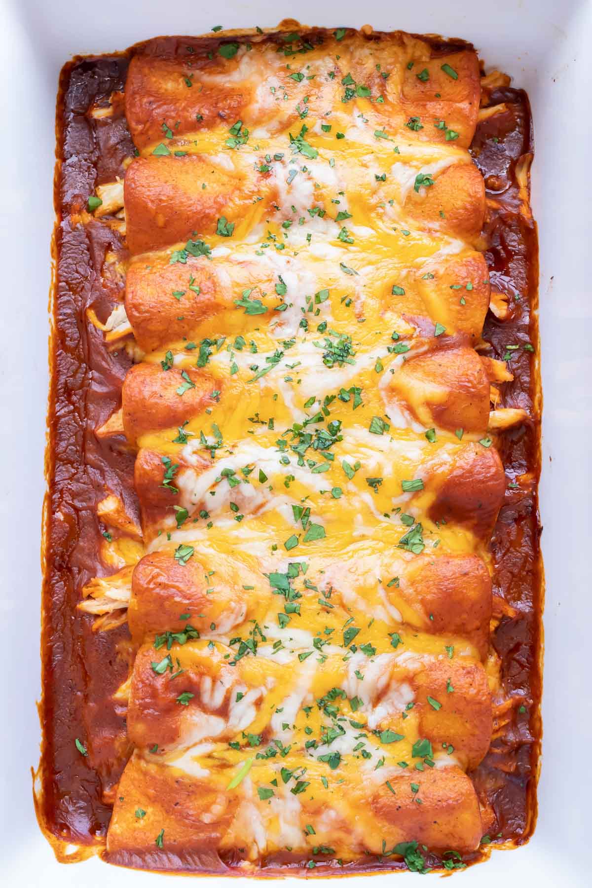 Cheesy Shredded Chicken Enchiladas | Easy, Authentic, Homemade Mexican Recipe